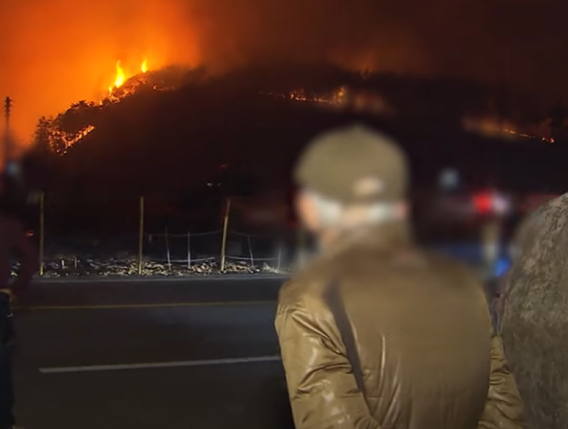 Korea Wildfire