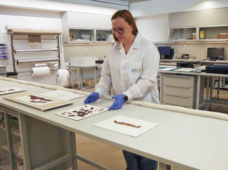 Israel Antiquities Authority laboratory