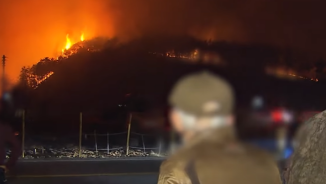 South Korea’s tragic wildfire: Grave visitor’s mishap suspected as cause